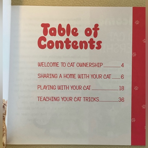 Amazing Cat Tricks - Picture 3 of 3